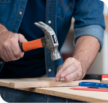 ��� ����� ������